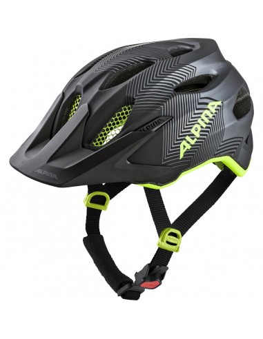 Alpina CARAPAX JUNIOR 4 couleurs