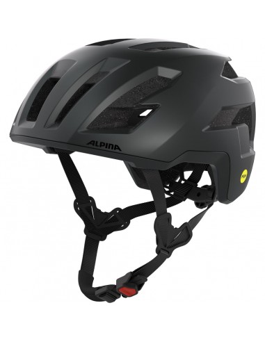 Alpina Helm TAUNUS GRAVEL MIPS