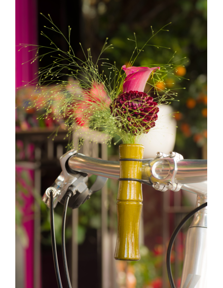 Vase pour guidon Liix