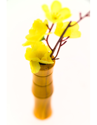 Vase pour guidon Liix