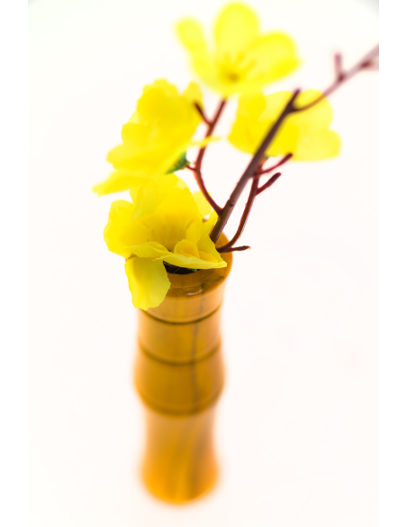 Vase pour guidon Liix