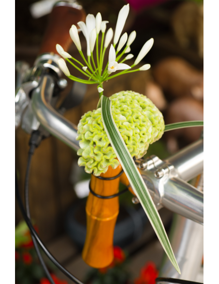 Vase pour guidon Liix