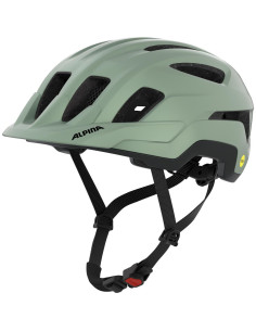 willow green